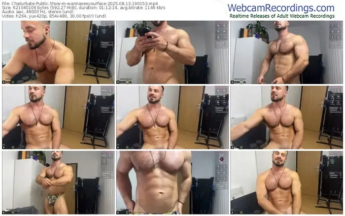 2025/08/13/chaturbate-wannaseeyourface-19-01-53