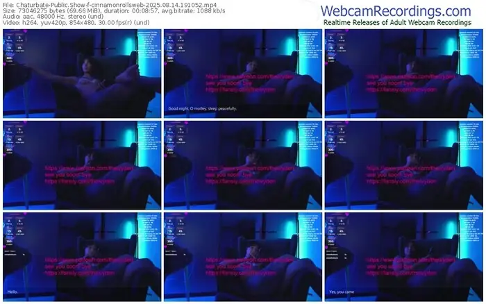 2025/08/14/chaturbate-cinnamonrollsweb-19-10-52