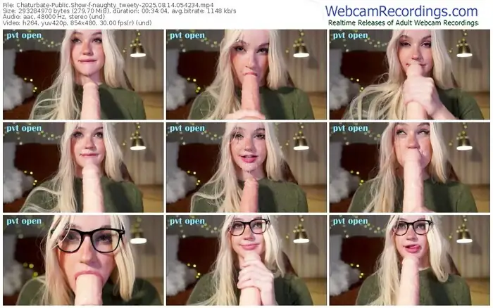 2025/08/14/chaturbate-naughty_tweety-05-42-34