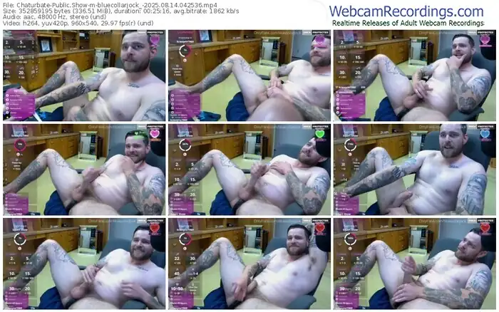 2025/08/14/chaturbate-bluecollarjock_-04-25-36