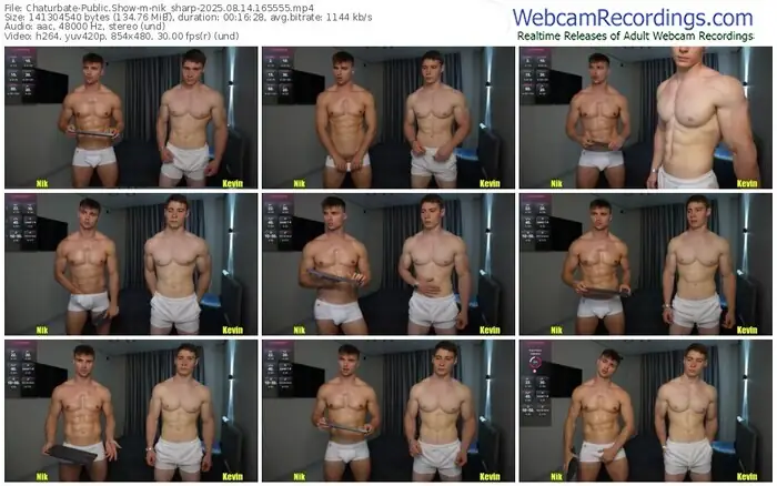 2025/08/14/chaturbate-nik_sharp-16-55-55