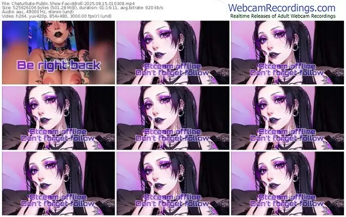 2025/08/15/chaturbate-aciddroll-01-03-08