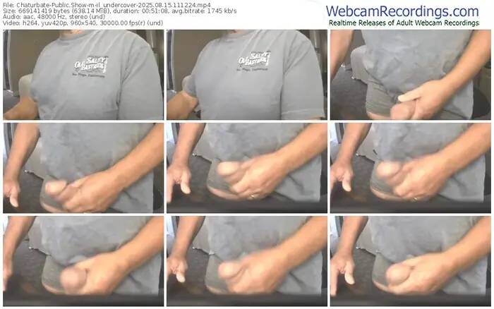 2025/08/15/chaturbate-il_undercover-11-12-24