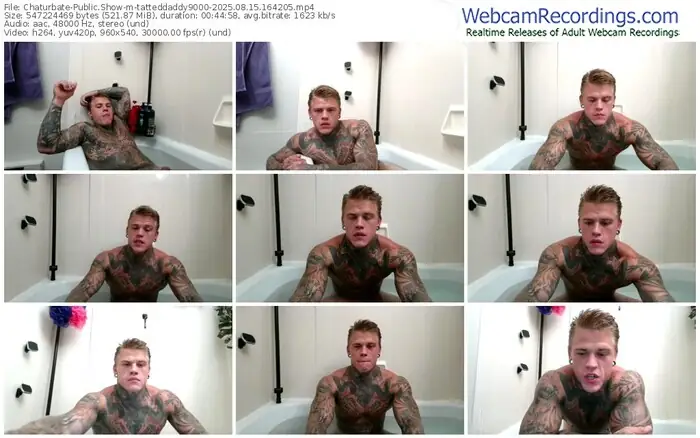 2025/08/15/chaturbate-tatteddaddy9000-16-42-05