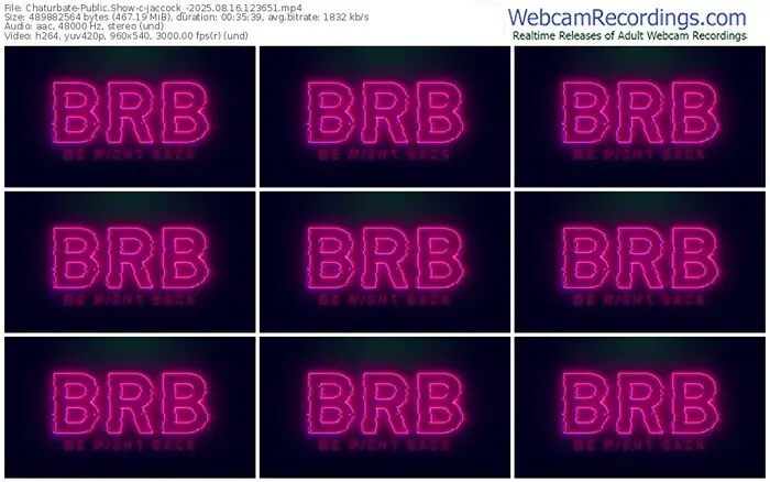 2025/08/16/chaturbate-jaccock_-12-36-51