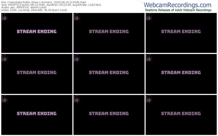 2025/08/16/chaturbate-minions_-11-40-05