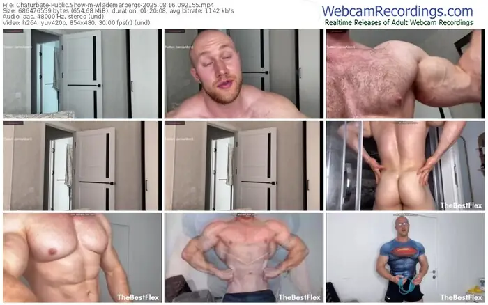 2025/08/16/chaturbate-wlademarbergs-09-21-55