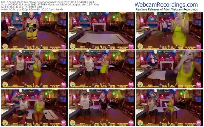 2025/08/17/chaturbate-bigbananamilfshake-04-00-16