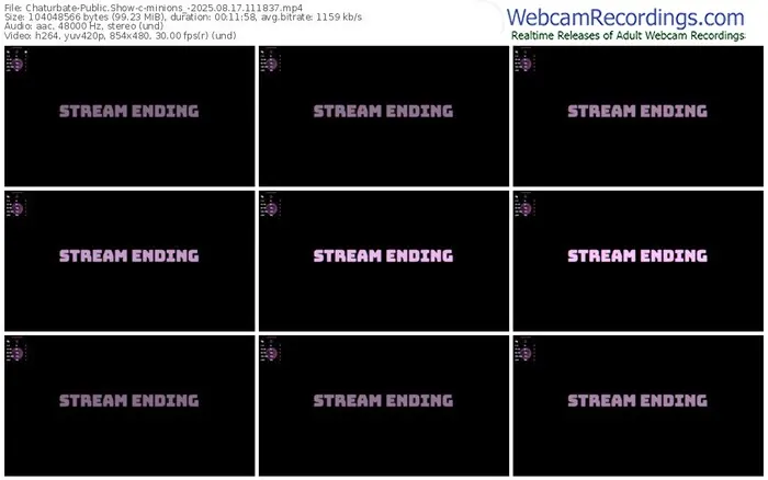 2025/08/17/chaturbate-minions_-11-18-37