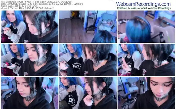 2025/08/17/chaturbate-i_died_again-13-42-01