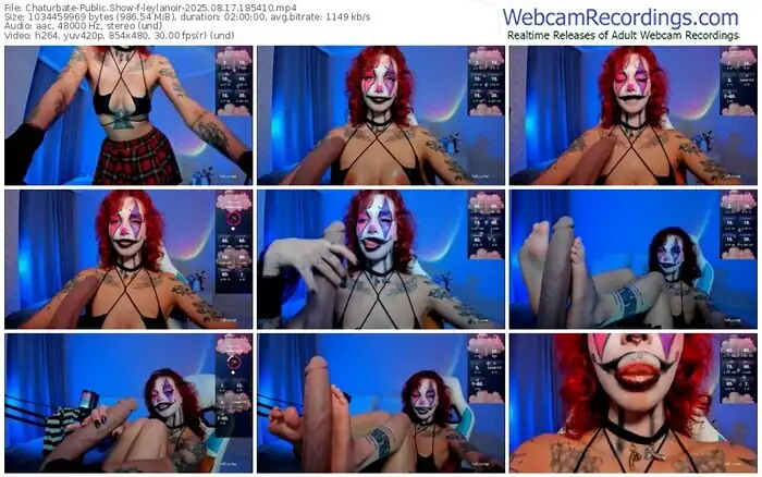 2025/08/17/chaturbate-leylanoir-18-54-10