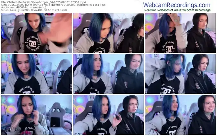 2025/08/17/chaturbate-ripper_66-12-53-59