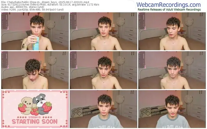 2025/08/17/chaturbate-_dream_boys_-22-01-01
