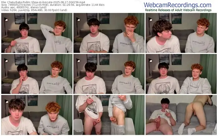 2025/08/17/chaturbate-boicute-00-41-59