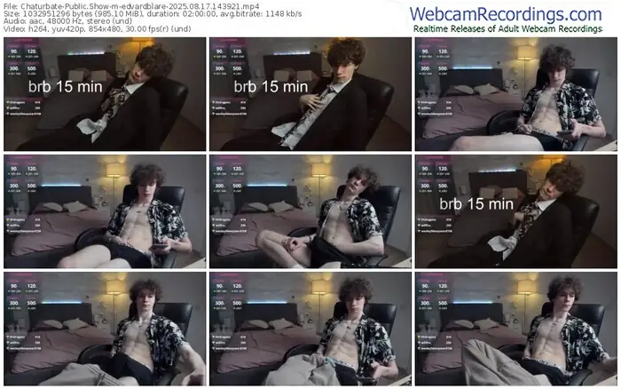 2025/08/17/chaturbate-edvardblare-14-39-21
