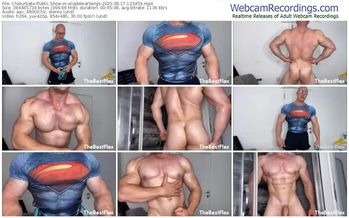 2025/08/17/chaturbate-wlademarbergs-12-34-59