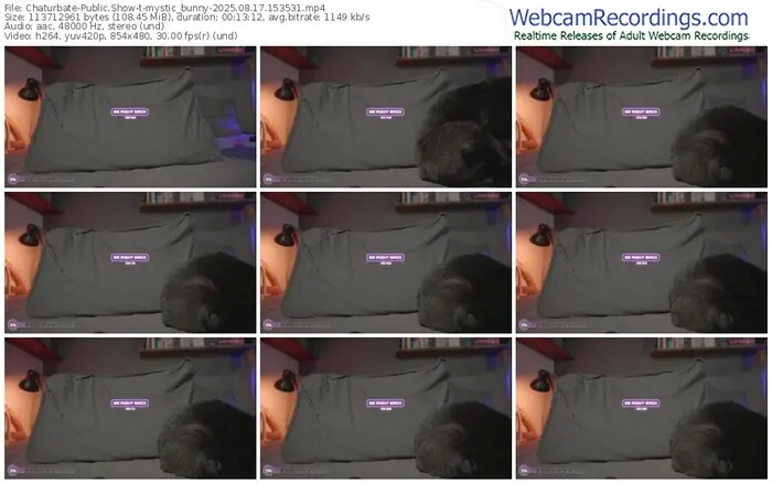 2025/08/17/chaturbate-mystic_bunny-15-35-31