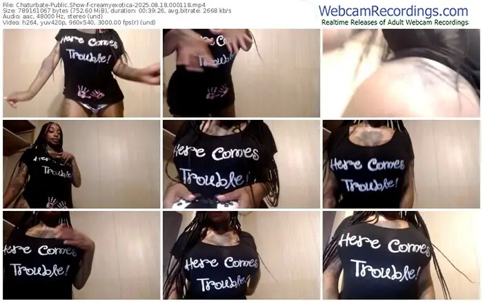 2025/08/18/chaturbate-creamyexotica-00-01-18