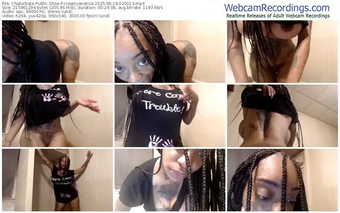 2025/08/18/chaturbate-creamyexotica-02-00-13