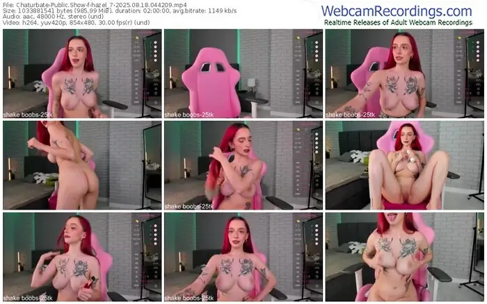 2025/08/18/chaturbate-hazel_7-04-42-09
