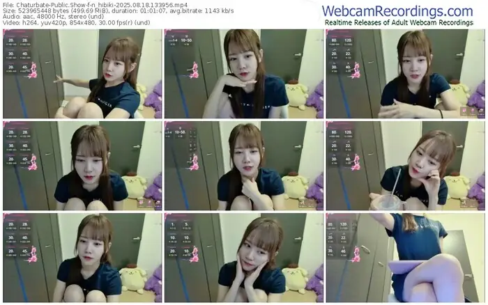 2025/08/18/chaturbate-n_hibiki-13-39-56