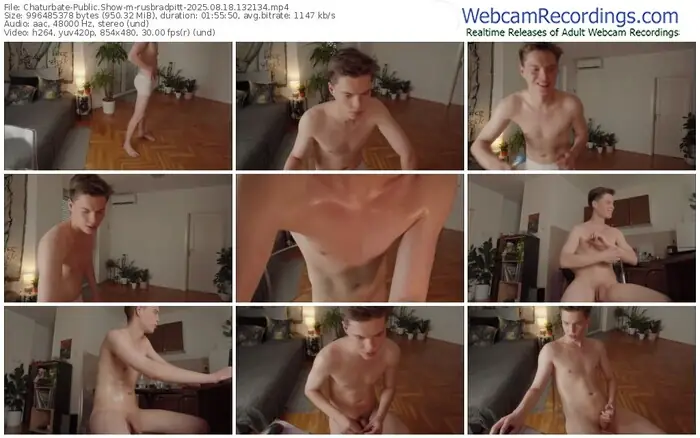 2025/08/18/chaturbate-rusbradpitt-13-21-34