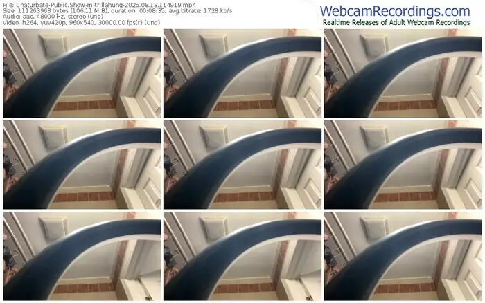 2025/08/18/chaturbate-trillahung-11-49-19