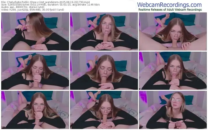 2025/08/19/chaturbate-lost_wanderers-22-17-30