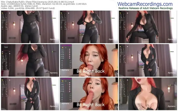 2025/08/19/chaturbate-foxylovesyou-08-15-12