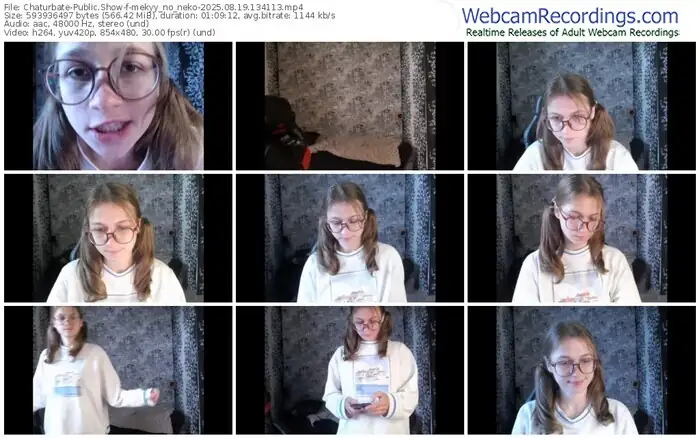 2025/08/19/chaturbate-mekyy_no_neko-13-41-13