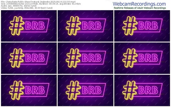 2025/08/19/chaturbate-natural_bigboobs-22-11-53