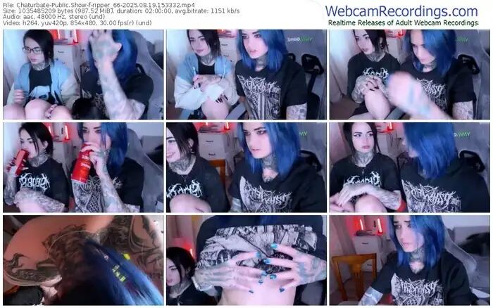 2025/08/19/chaturbate-ripper_66-15-33-32