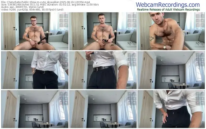 2025/08/19/chaturbate-cute_skywalker-12-03-54