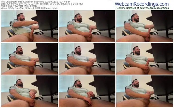 2025/08/19/chaturbate-gnorris88-17-27-47