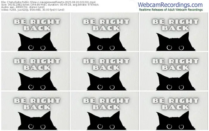2025/08/20/chaturbate-savagesweethearts-02-10-31