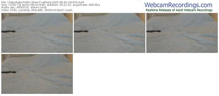 2025/08/20/chaturbate-catberg-16-24-16