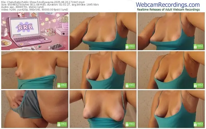 2025/08/20/chaturbate-mollywayne-17-19-47