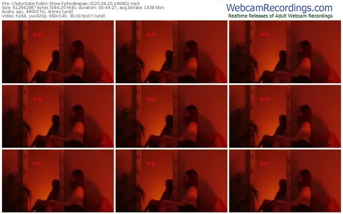 2025/08/20/chaturbate-phoebepaw-14-09-02