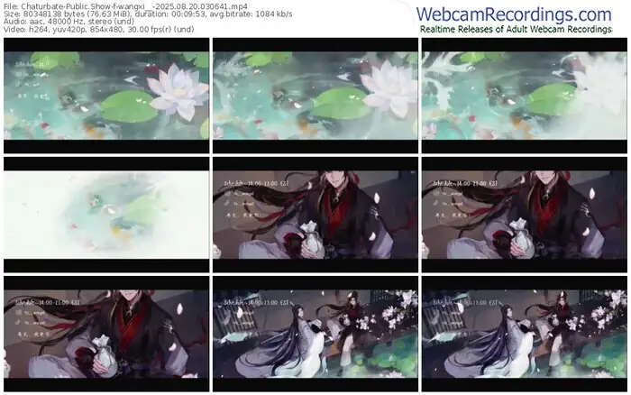 2025/08/20/chaturbate-wangxi__-03-06-41