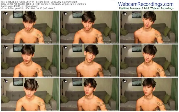 2025/08/20/chaturbate-_dream_boys_-07-00-46