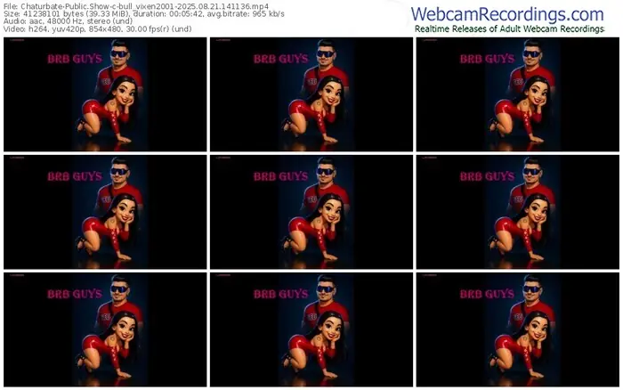 2025/08/21/chaturbate-bull_vixen2001-14-11-36