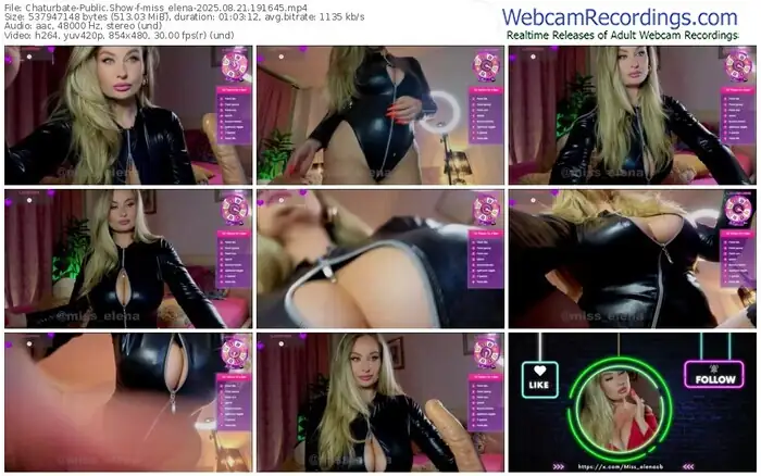 2025/08/21/chaturbate-miss_elena-19-16-45