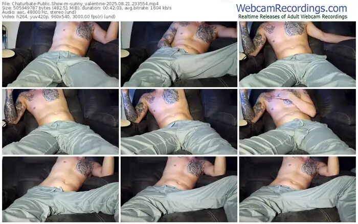 2025/08/21/chaturbate-sunny_valentine-23-35-54