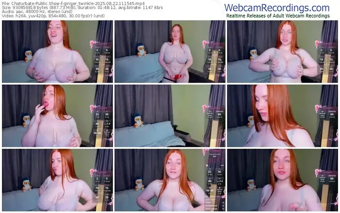 2025/08/22/chaturbate-ginger_twinkle-11-15-45