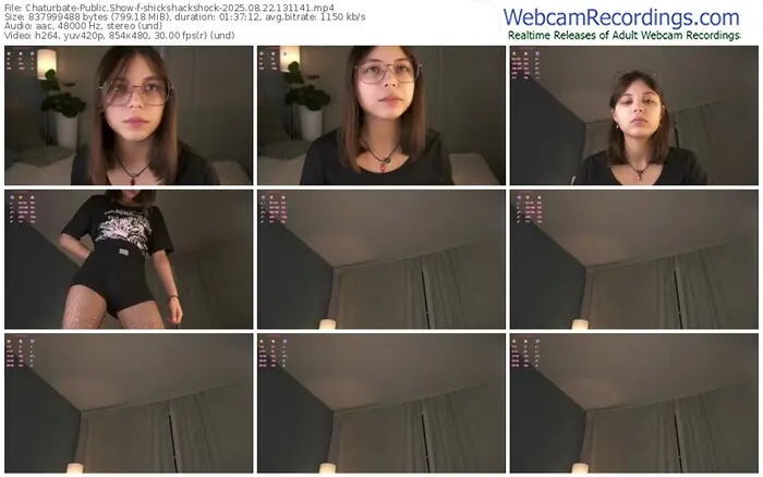 2025/08/22/chaturbate-shickshackshock-13-11-41