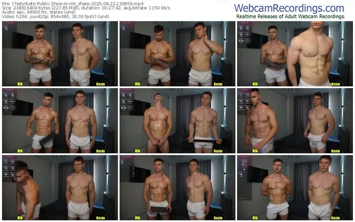 2025/08/22/chaturbate-nik_sharp-13-06-59