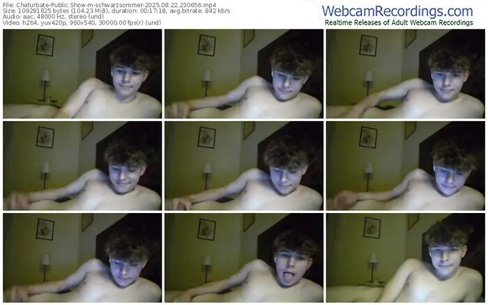 2025/08/22/chaturbate-schwarzsommer-23-06-56