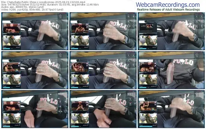 2025/08/23/chaturbate-scoobysnow-13-21-06