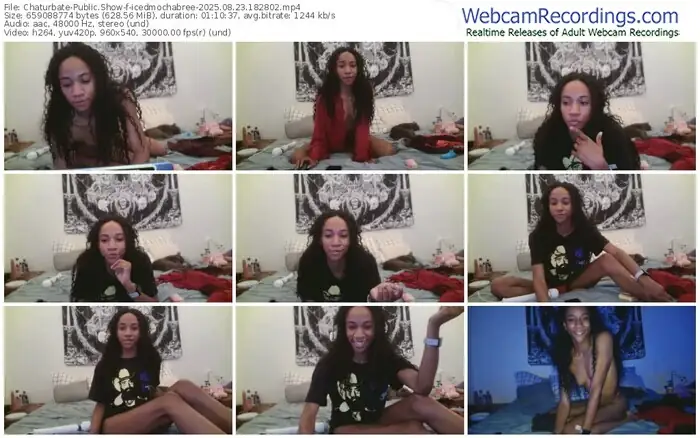 2025/08/23/chaturbate-icedmochabree-18-28-02