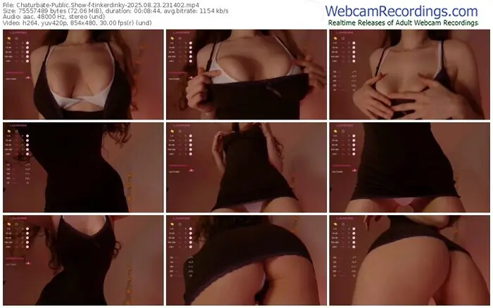 2025/08/23/chaturbate-tinkerdinky-23-14-02